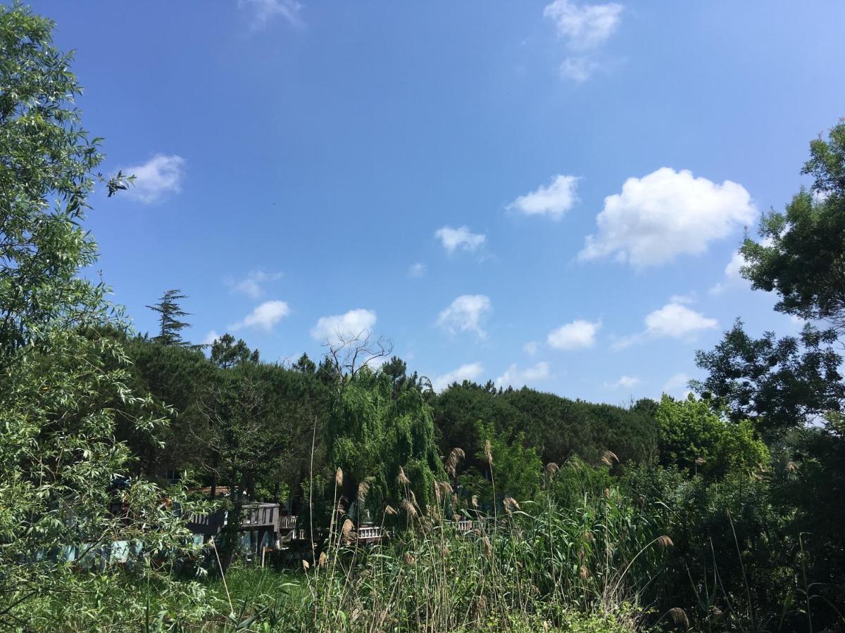 Hotel Shila Doert Mevsim Tatil Koyu Ağva Exterior foto